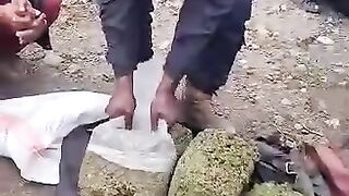 Police confiscating bags of Maruwana