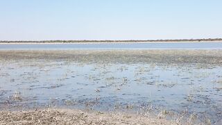 Lechana plains in Botswana