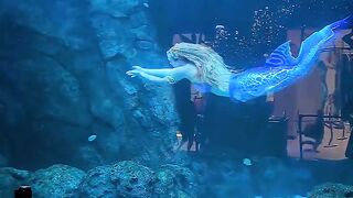 Swimming my way back to Saint Louis Aquarium