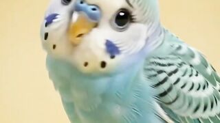 Funny video 🤣🤣🤣🤣🤣