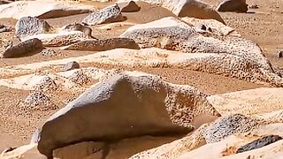 Perseverance Rover Captures Mars Like Never Before!