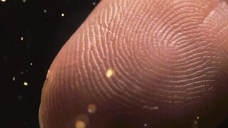 ফিঙ্গার প্রিন্টের রহস্য - History of Fingerprints