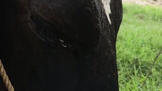 Eye infection