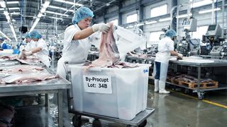 Fish Skin to Fashion: Inside the Luxury Leather Factory