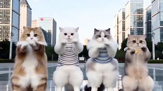 When a Cat Forgets That He's a Cat 😂💃 3