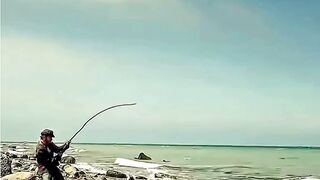Niatnya cuma mau lepasin ikan aja, eh malah dapet keajaiban! 😲