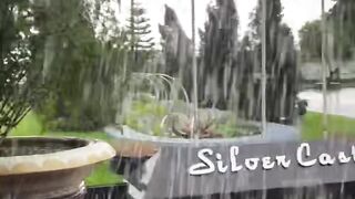 silver castle