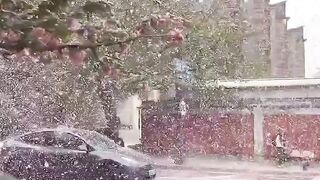 Spring vedio