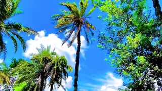 blue sky &natural beauty