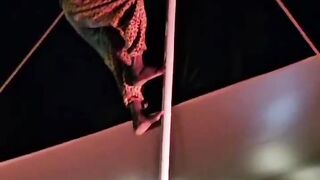 Pole climbing acrobatic show