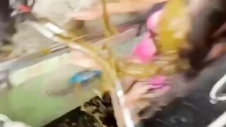 Funny videos???????