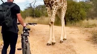 Baby Animals That Grew Into GIANTS 🐶🐘 | Incredible Growth Transformations