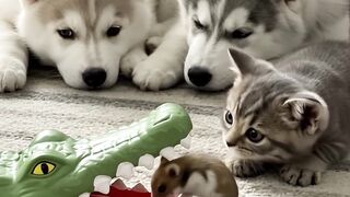 Hamster: "I Got This" Guys! 🐹🔥😆 | Funny & Epic Hamster Challenge