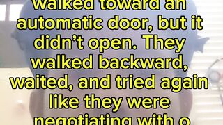 When Everyday Life Goes Wrong: Hilarious Real-Life Moments in 2026 Nobody Could Have Predicted