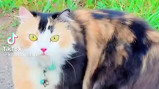 Green eyes