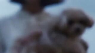 معلومات قد لا تعرفها عن فيلم برازيت