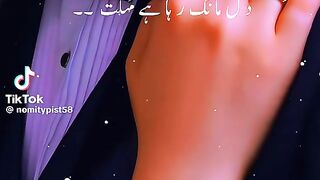 Beautiful Song 229