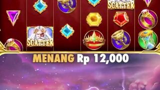 7meter 505
