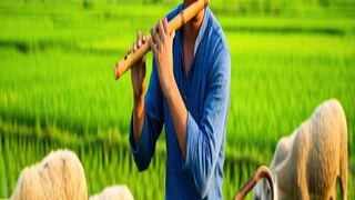 কাংকের কলসি কাংকে রইলো 💔 | জল ভরিতে মনে নাই | Bangla Folk Song #Shorts 3