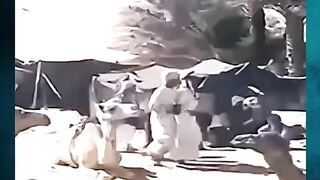 Sebelum Minyak, Abu Dhabi Tak Semewah Ini‼️