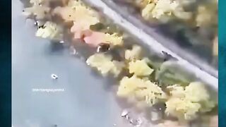 Sebelum Minyak, Abu Dhabi Tak Semewah Ini‼️ 2