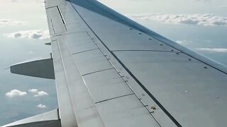 Why Don’t Airplanes Fall From the Sky? ✈️ The Science Explained! #Shorts