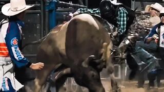 Angry bull 2