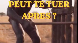PEUX TU AIDER QUELQU'UN QUI PEUT TE TUER ? (Conte africain)