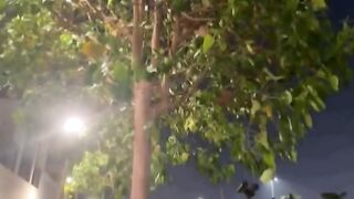 Dubai weather at night