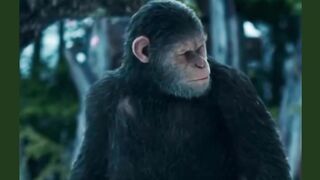 🎬War for the Planet of the Apes (2017)