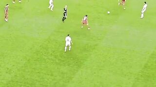 Goal Merino