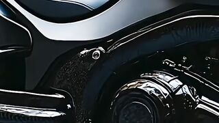 Beautiful looks racing bike