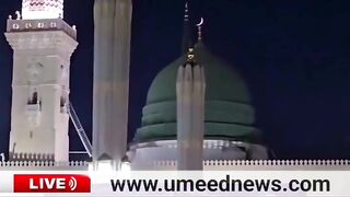 Umeed News
