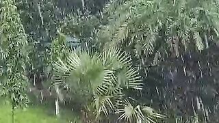 Hatkamair nature area