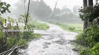 Rainy Season In Bangladesh
