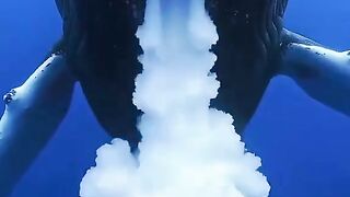 Nature's Miracle: How Whales Nurse Their Young in the Depths of the Sea