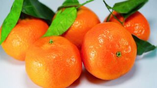 Tangarine