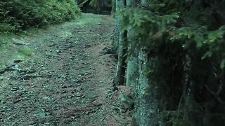 Where Silence Walks