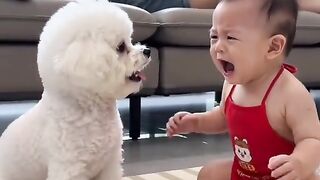 When Babies and Dogs Start Plotting... 🤫👀