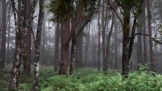 Living Green