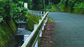 Simple Japan