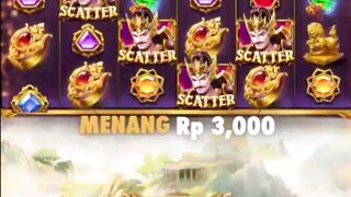 7meter 508