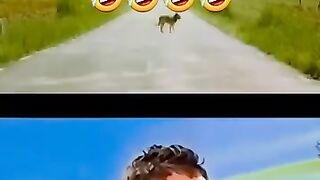 😂 When Luck Hits Different! You Won’t Stop Laughing