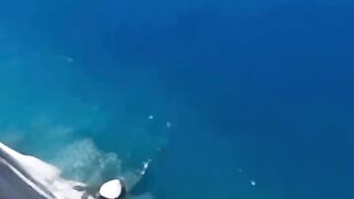 Cliff jumping