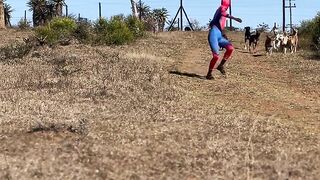 Spiderman 23