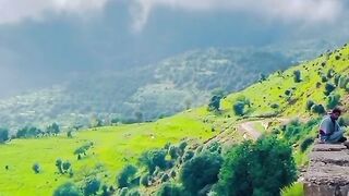 Beautiful view of nature 28