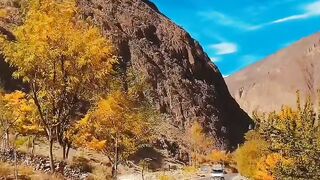 Beautiful view of nature 30