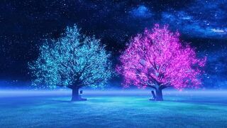 sooo nice