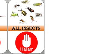 Halal and Haram animals meat in Islam