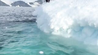 Beautiful view of nature 33